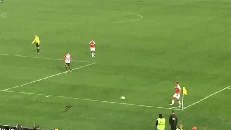 Youth Talent: Robert Lewandowski Shines for Brighton U-21s